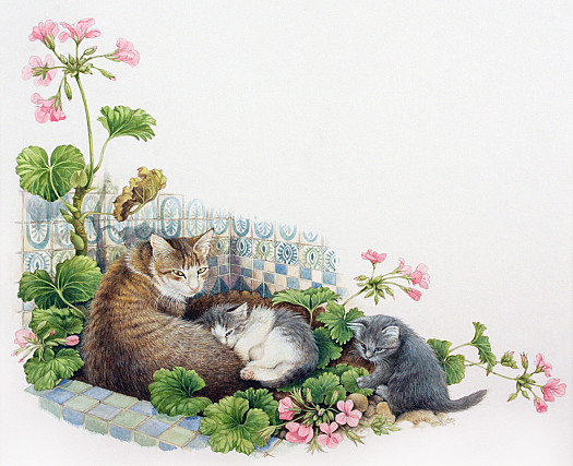 Minouche with Peepo and Son Son