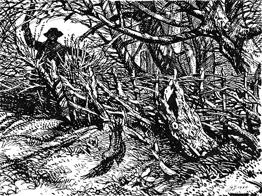 Jesse and the Dormice