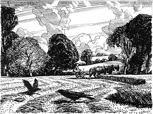 The Young Crow's Downfall