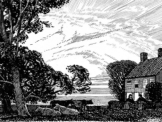 The Nightjar Helps the Cows