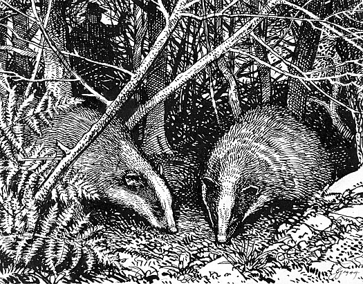 The Badger's Breakfast