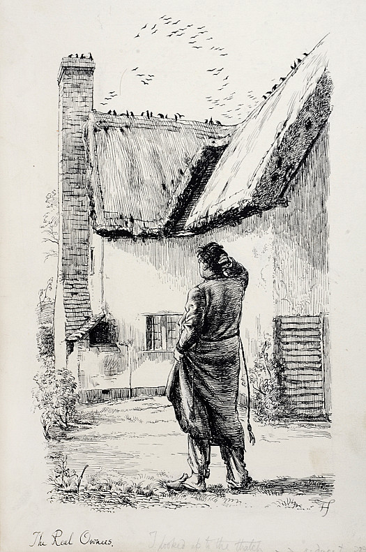 The Real Owners. I Looked Up to the Thatch