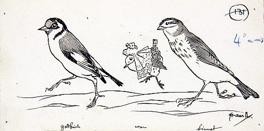 The Goldfinch Came On Next, to Give Away the Bride;The Linnet, Being Bridesmaid, Walked by Jenny's Side