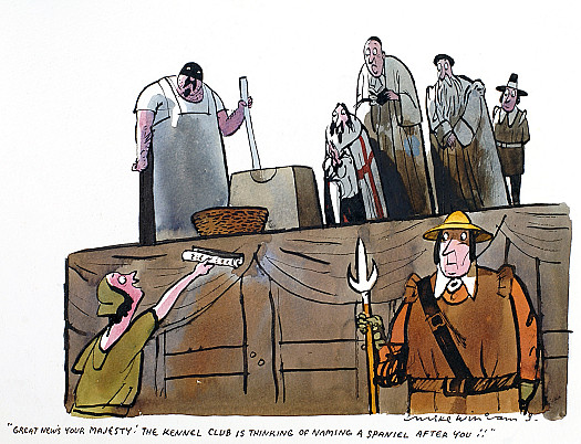 Great News Your Majesty! the Kennel Club Is Thinking of Naming a Spaniel After You!!