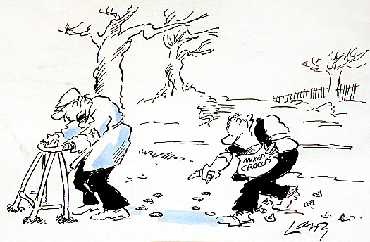 Zimmer Frame Seed Planting