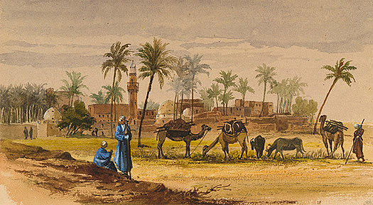 Grazing camels and cows outside a town