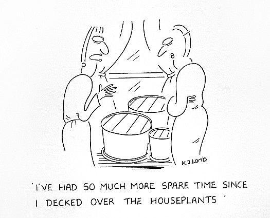 I've Had so Much More Spare Time Since I Decked over the Houseplants