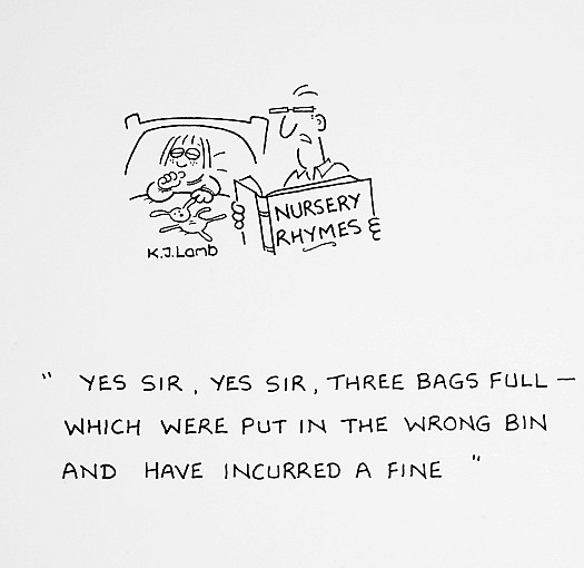 Yes Sir, Yes Sir, Three Bags Full - Which Were Put In the Wrong Bin and Have Incurred a Fine