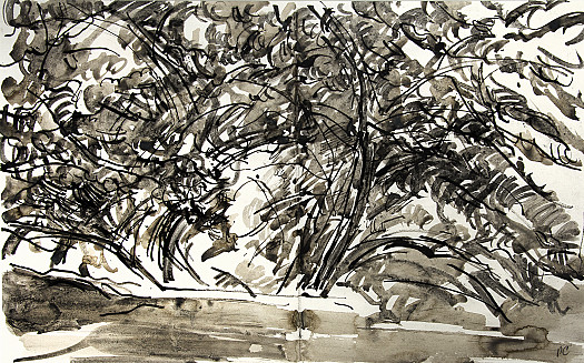 Cherry Blossom, the Red House