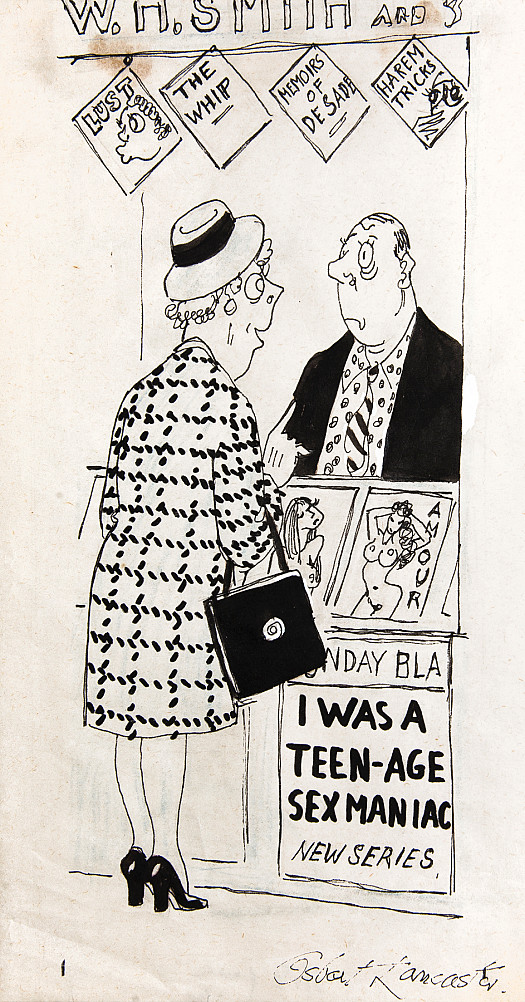 Have You, by Any Chance, Any Soft Porn?