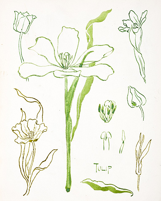 Girl on a Couch Reading