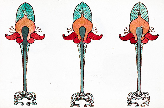 Stylised Fuchia Design