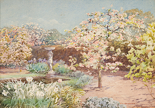 Appleblossom and Bird Bath