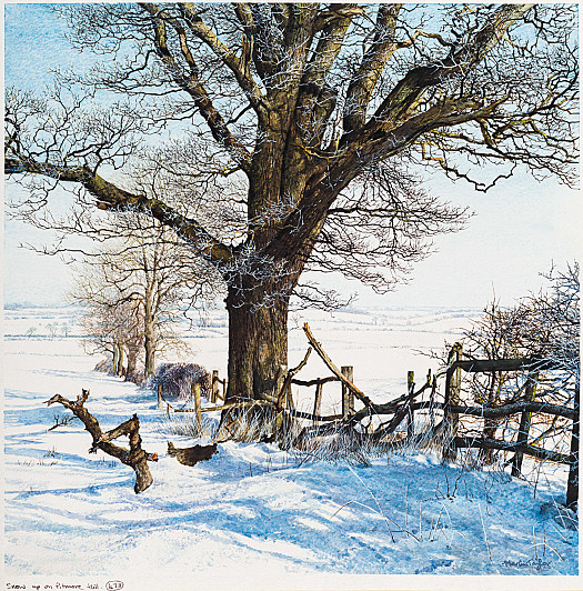 Snow up on Pitmore Hill