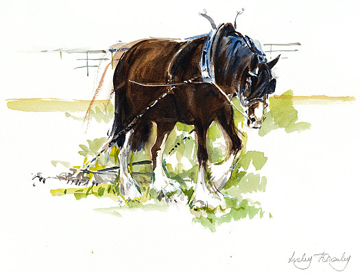 Lady Pulling Harrow
