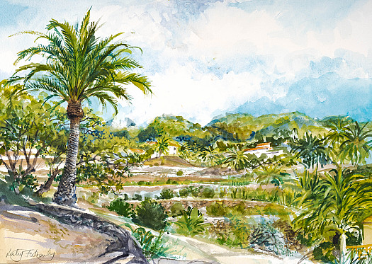 Palm Tree, Juan Mayor Barranco