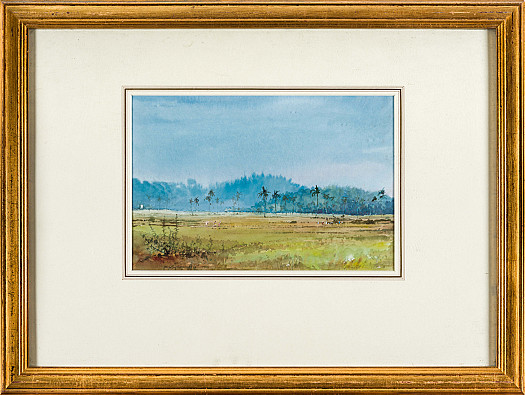 Rice Fields of Bardez, Goa &ndash; India