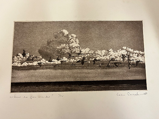 Where do you wander?