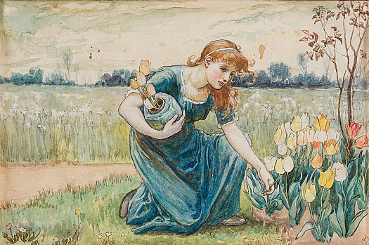Picking tulips