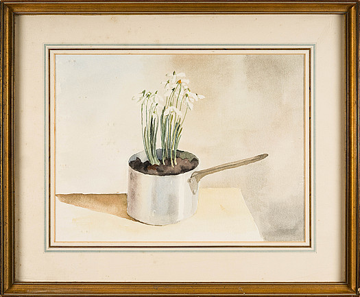 Snowdrops in a Saucepan