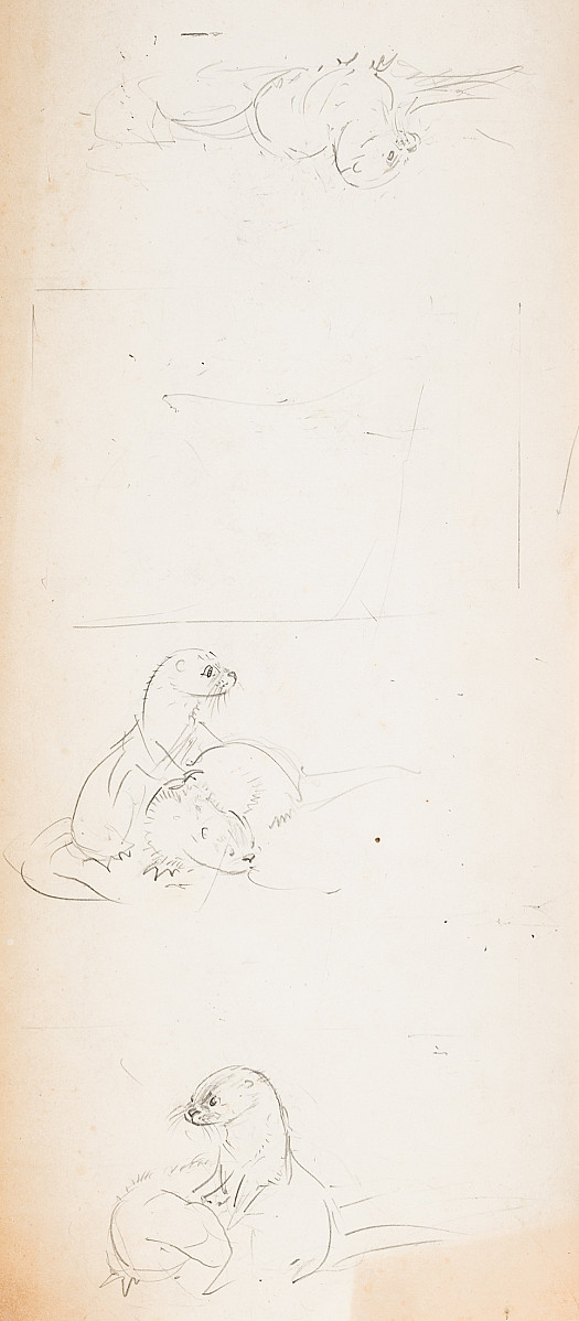 Studies of Otters