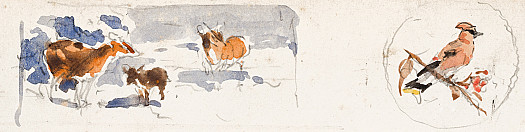 Studies of Bird and Deer