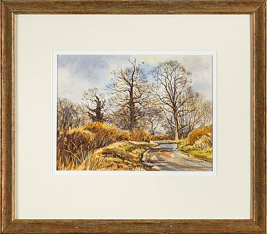 Country Road, Hastoe, Herts