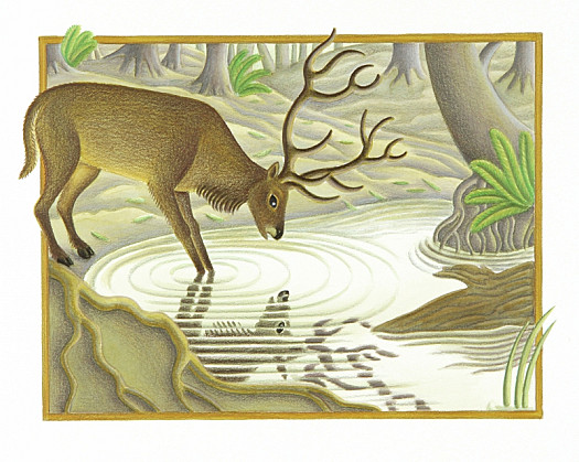 A tall and handsome stag came to a pool to drink, and as he drank he saw his reflection in the still water