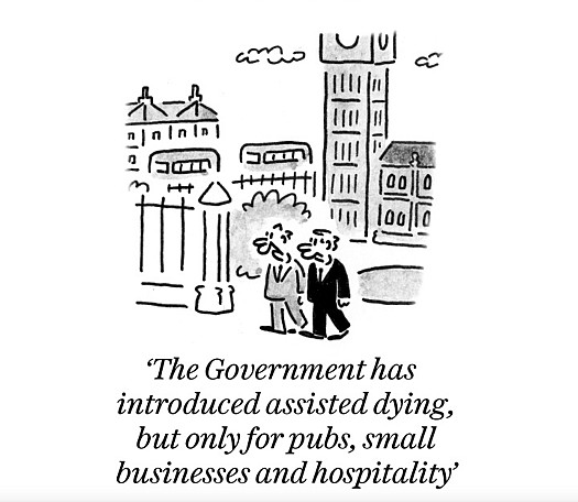 The Government has introduced assisted dying, but only for pubs, small businesses and hospitality