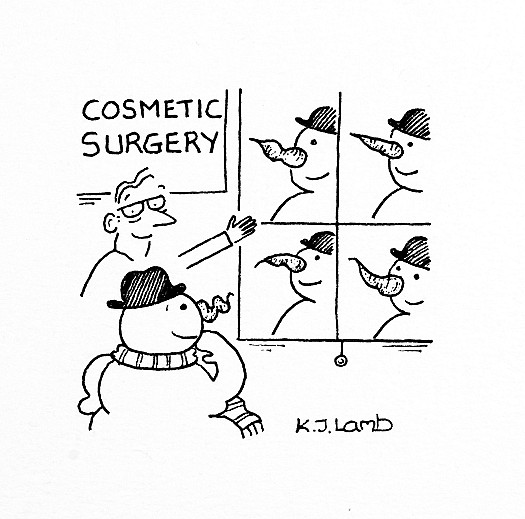 Cosmetic Surgery