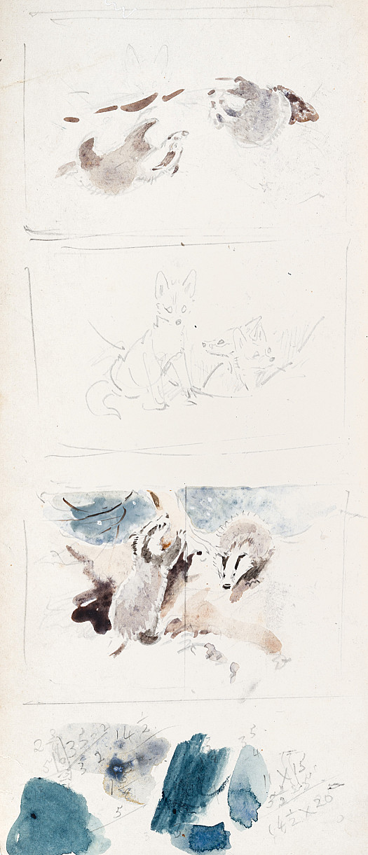 Studies of Badgers and Foxes