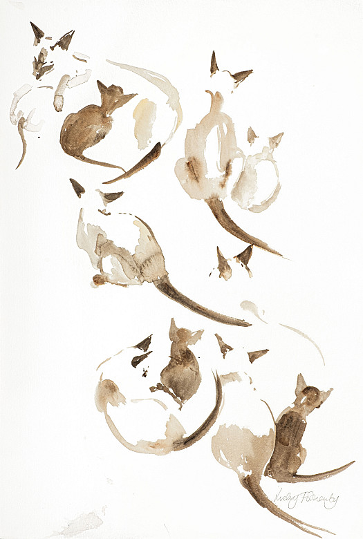 Wincey and Two Kittens (10 Weeks)