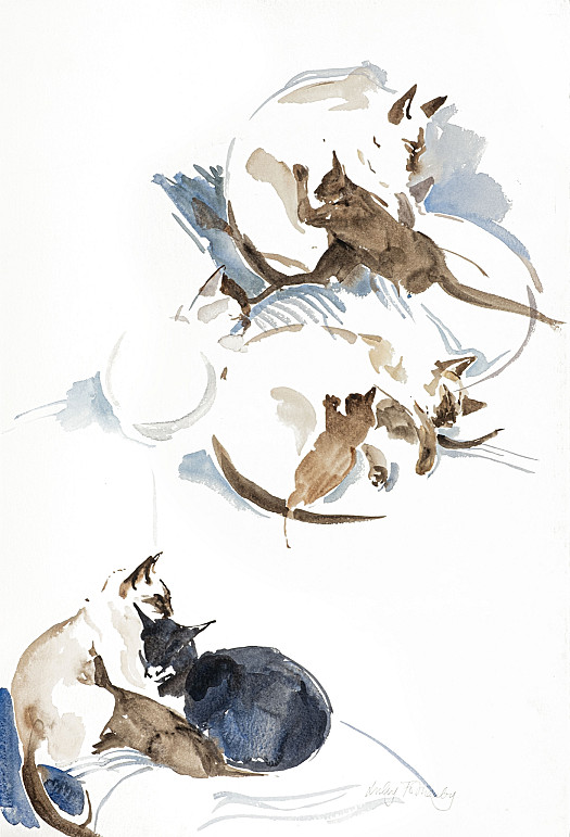 Studies of Wincey, Penny and Kittens (10 Weeks)