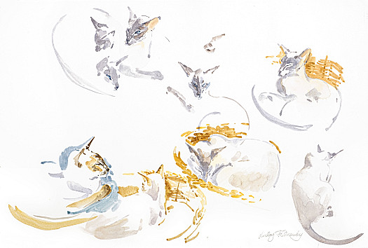 Studies of Suleiman &amp; Soraya in a Basket