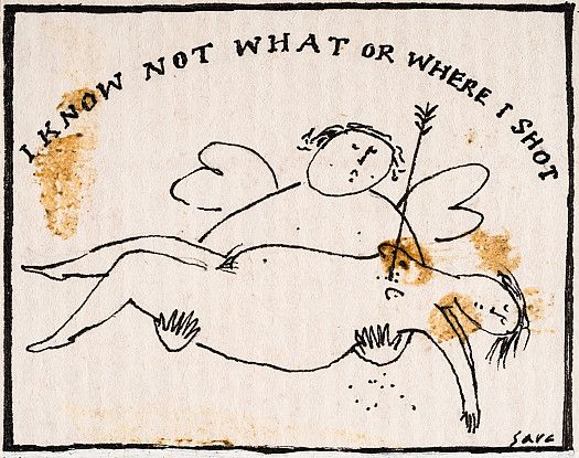 I know not what or where I shot