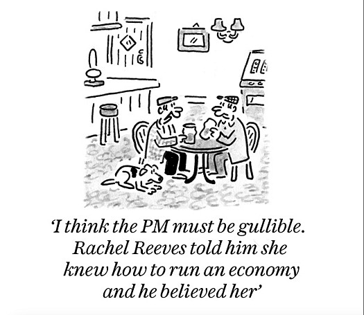 I think the PM must be gullible. Rachel Reeves told him she knew how to run an economy and he believed her