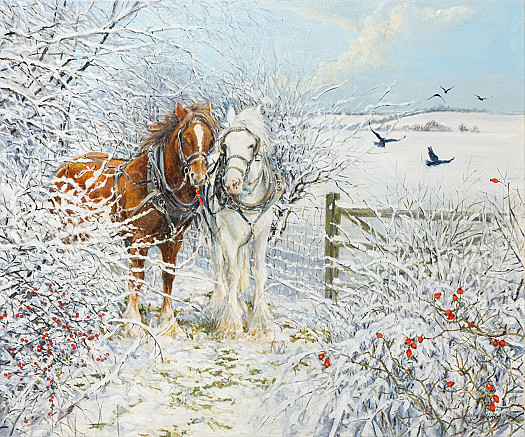 Horses in the Snow; Gressenhall, Norfolk