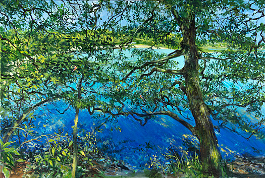 Bullfinches and Blue, Cornwall