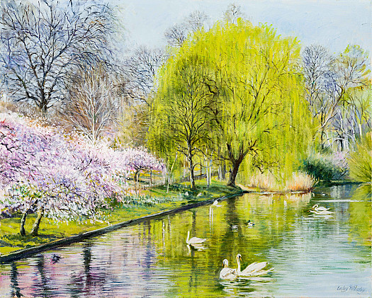 Swans &ndash; St James's Park, Spring