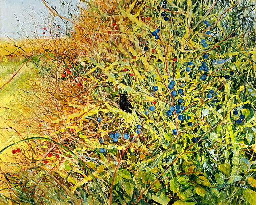 Blackbird and Sloes, November
