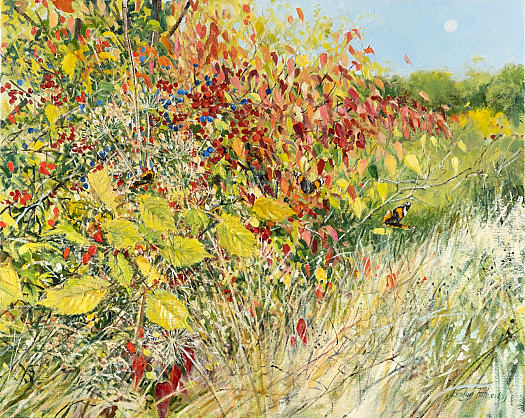 Autumn Hedgerow, Wimpole