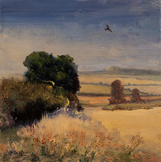 Corner of a Cornfield