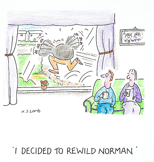 I decided to rewild Norman