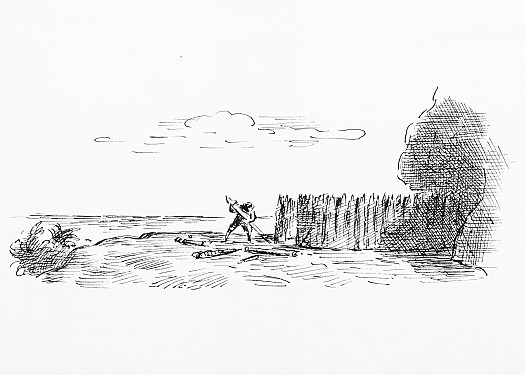 I pitched two rows of strong stakes