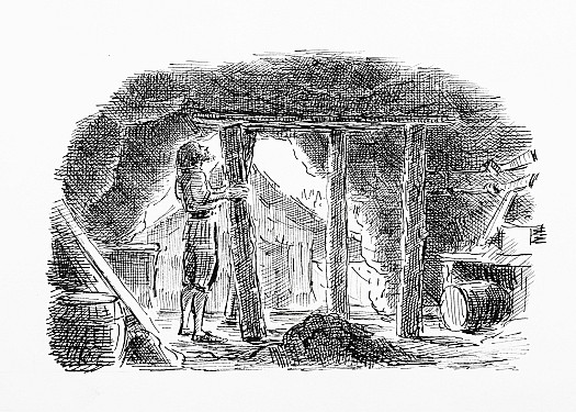 Setting up more posts with boards