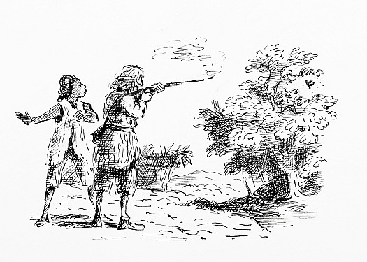 Immediately he saw the parrot fall