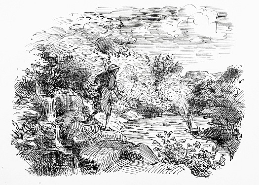 I descended a little on the side of that delicious vale