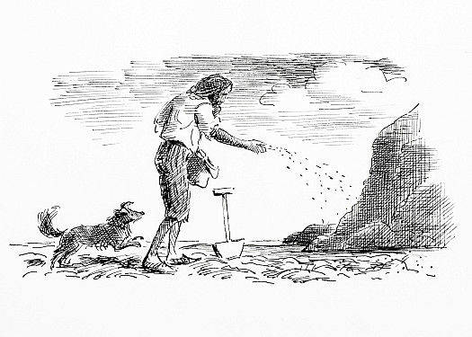 Crusoe learns the pattern of weather from bitter experience in efforts at cultivation: wet and dry moths replacing the European seasons