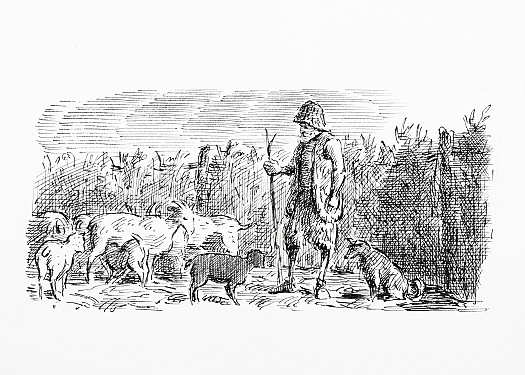 In the eleventh year, disturbed by diminishing powder and shot, decides to domesticate wild goats