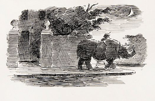 Sometimes Diana would take it out for a walk, but this had to be late at night when there was no one about